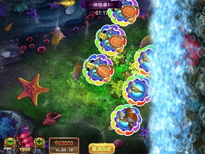 平台最新星力